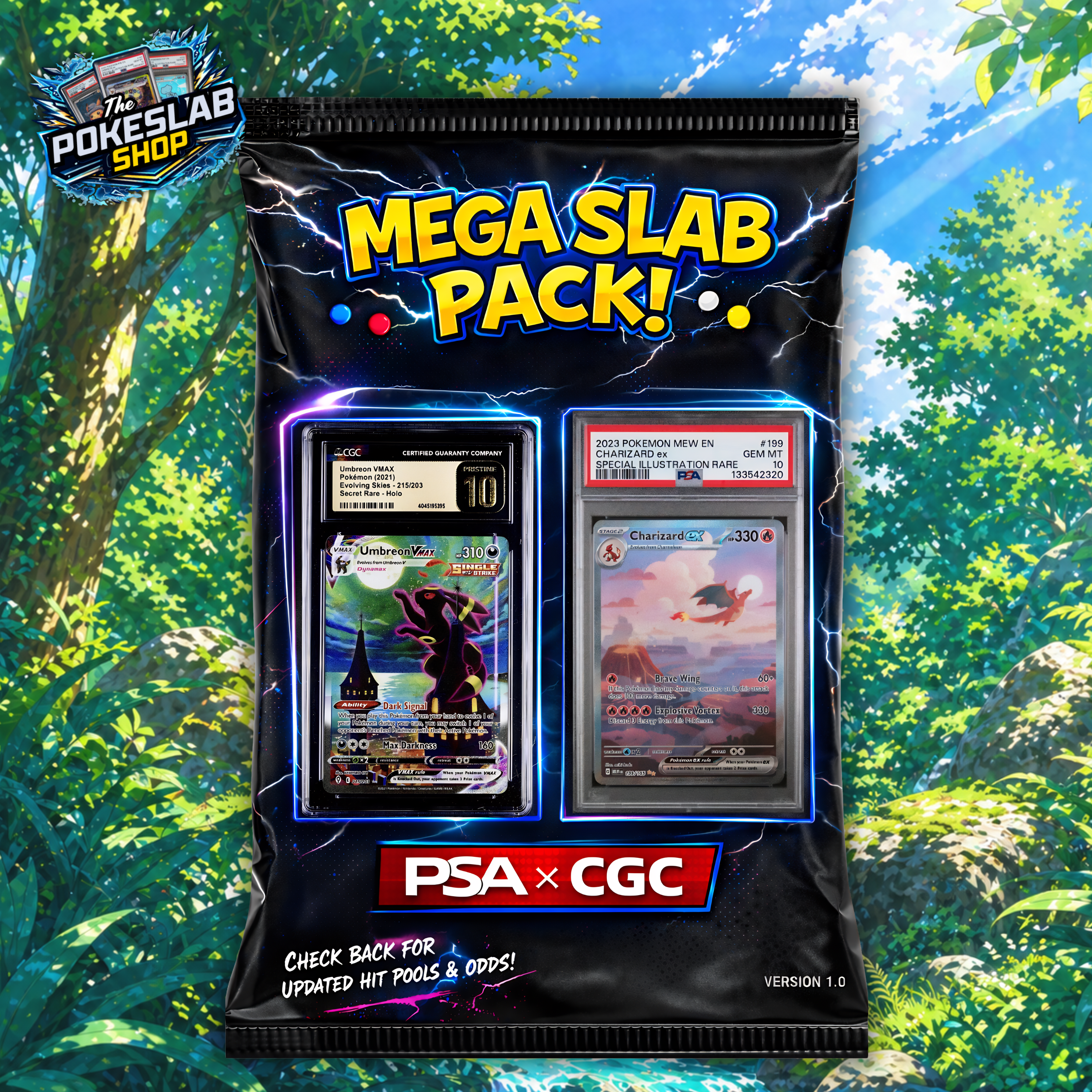 Mega Slab Bag! - !SHIPPED ONLY!